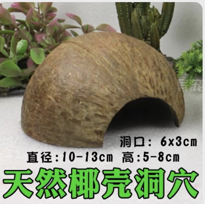 爬宠洞穴躲避天然椰壳树洞小窝躲藏蜘蛛蝎子寄居蟹角蛙洞穴造景,金属材料及制品,金属罐/桶/瓶,淘宝优惠券,粉丝福利购,淘宝优惠卷