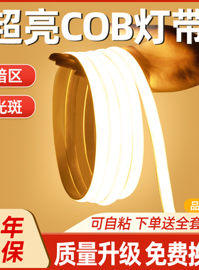 led灯带户外防水COB线形灯客厅吊顶自粘220v超亮工程亮化硅胶灯条