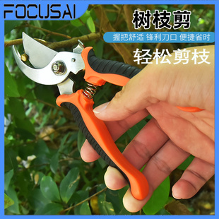 修枝剪园艺剪葡萄剪树枝专用剪刀摘果剪修剪果树园林剪花艺修花剪