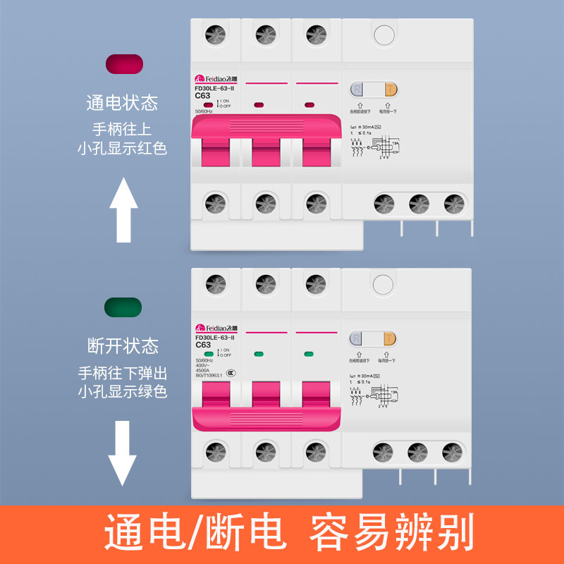 飞雕空气开关带漏电保护器家用断路器总开关电闸1P2P16A32A63A*