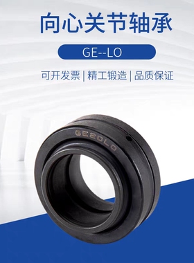 向心关节轴承BNP01-GE12/16/20/25/30/32/35/40/50/60/63/70/80LO