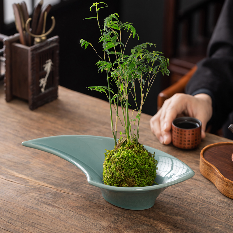 水养苔藓球托盘哥窑花盆