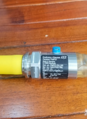 议价促 E+H 恩德斯豪斯 PMP21-AA1U1QBWUJ 照片