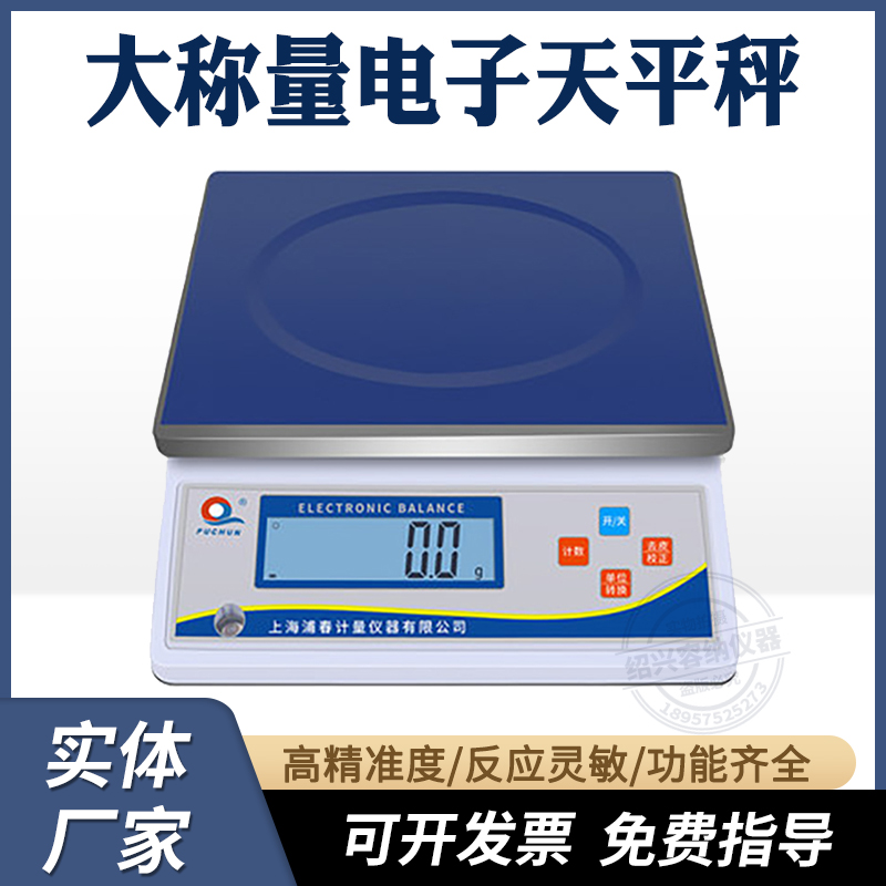 上海浦春大秤量电子天平