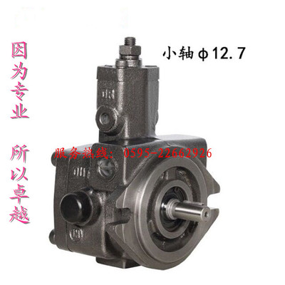 台鑫变量叶片泵数控机床