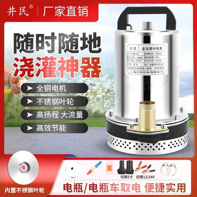 直流潜水泵电瓶车家用船