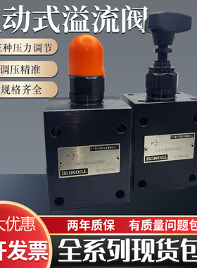 DBDH10P10/315直动式溢流阀DBDH10G10/315/2 DBDS10K10/315 200