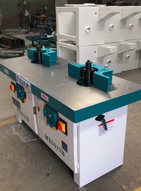 厂家直销睿益木工机械镂铣机推台铣床双轴立铣立式双头铣床MX5317