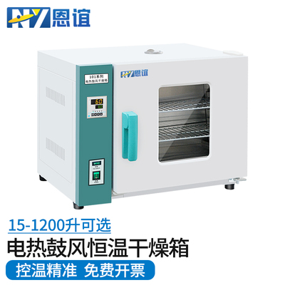 恩谊  电热恒温鼓风干燥箱实验室烘干机高温烘箱工业小型试验烤箱