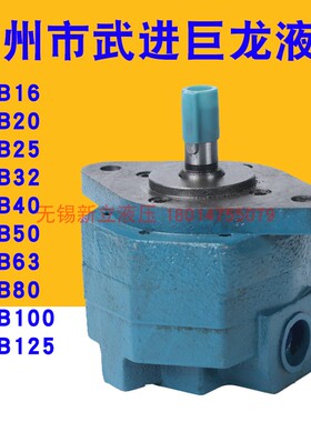 常州市武进巨龙液压油泵BB-B25/BB-B16/B50/B63/B80/B100/B125Y