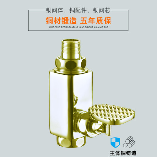 铜大便阀脚踩式冲洗踏蹲