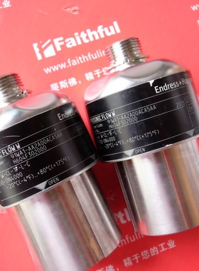 议价E+H 91WA1-AA2A00ACA5AA 恩德斯豪斯声波流量计 W-CL-1F-L-C