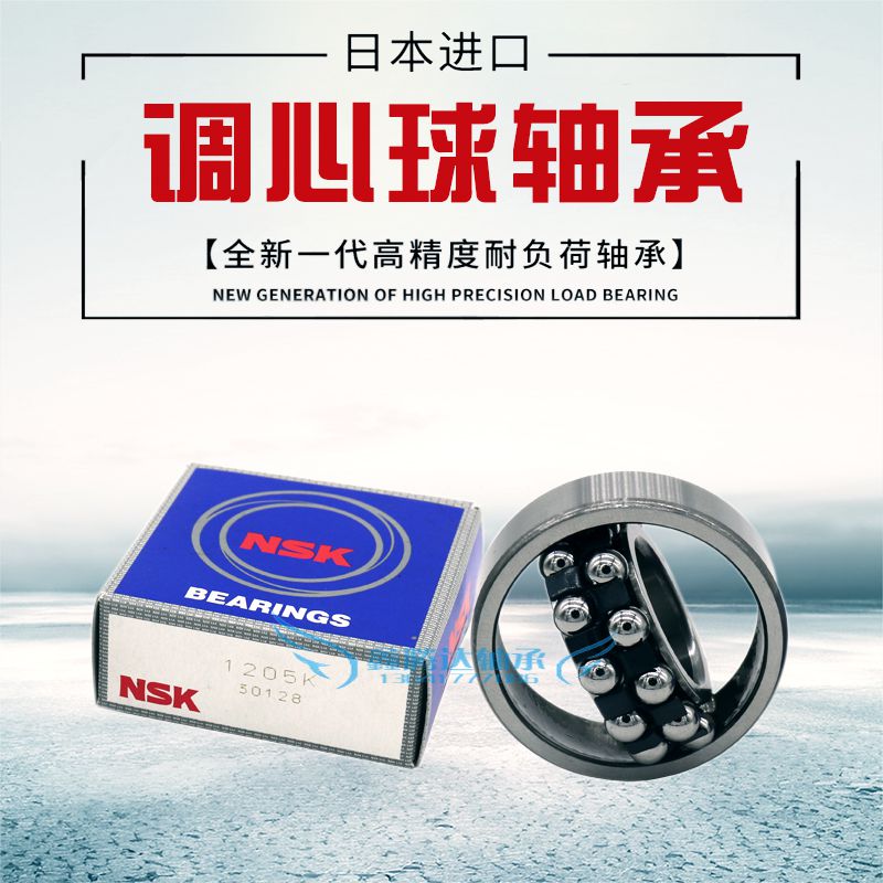NSK轴承1200 1201 1202 1203 1204 1205 1206 1207 1208 1209 K