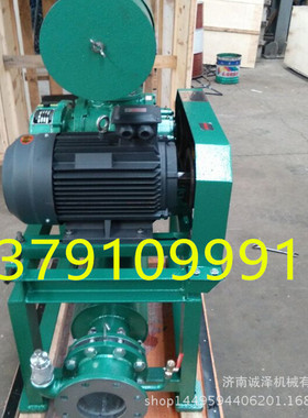 新款现货供应罗茨鼓风机污水处理SR65小型罗茨鼓风机低噪音包邮