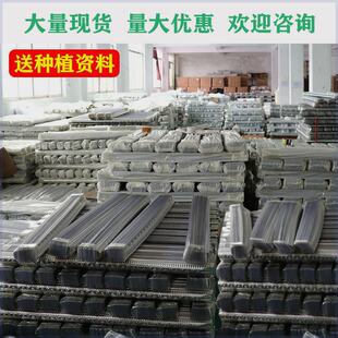 【量大超实惠】淮山种植槽山药种植槽浅生槽加厚`塑料定向槽u型槽