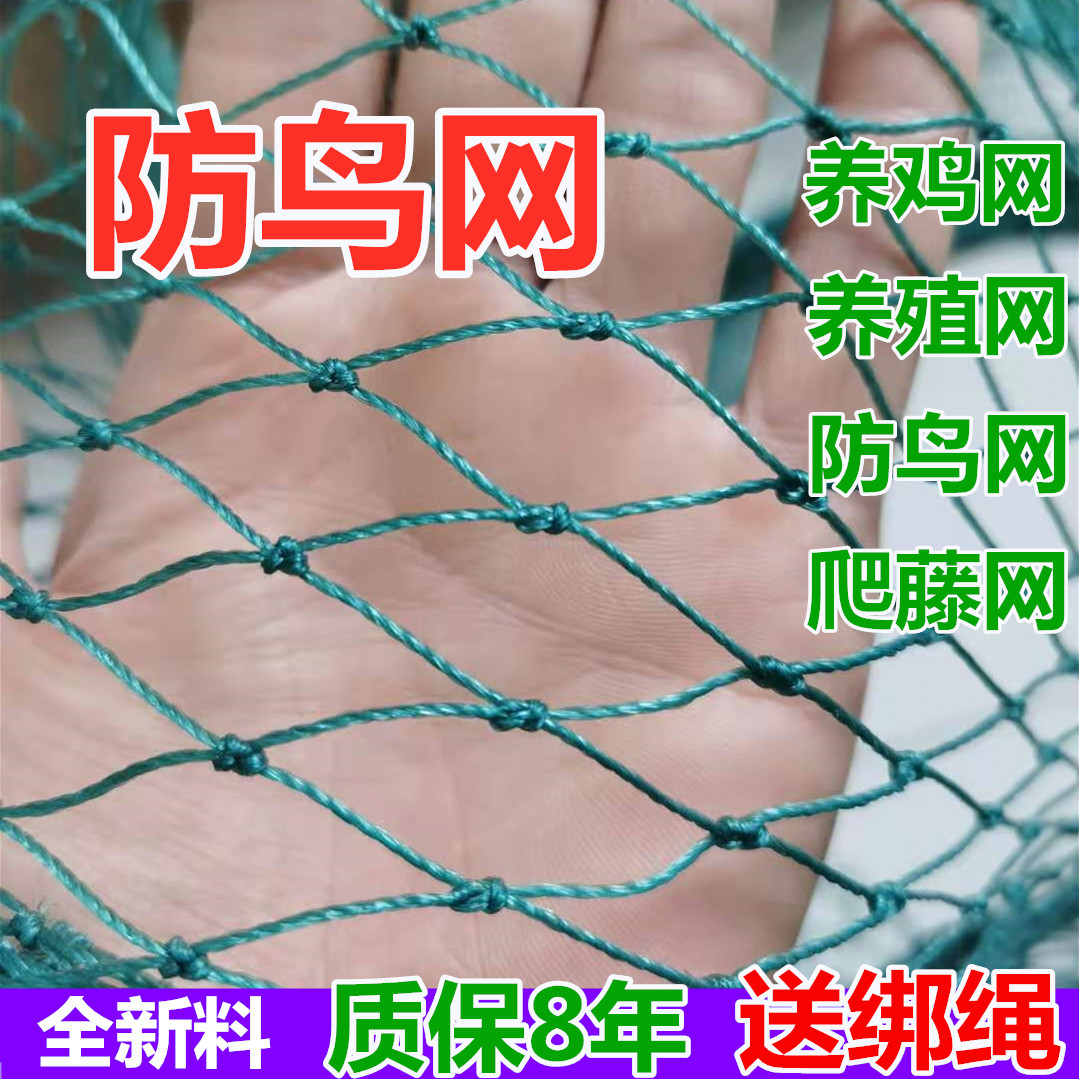 隔离网塑料鸡户外进口养