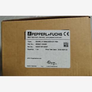 5000UD1 倍加福 ENI58IL H10BA5 RB4議價(jià)