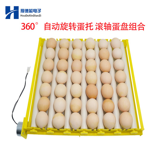 孵化器小型家用鸡管自动