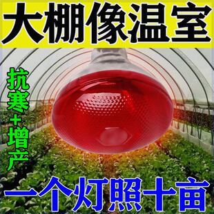 大棚增温灯植物补光灯保暖取暖灯增产仿太阳光植物花卉增温灯温室