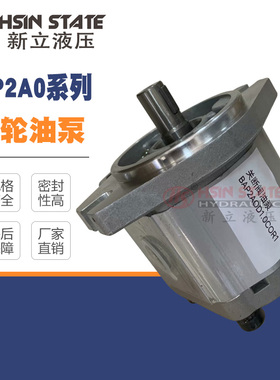 齿轮泵BAP2A0D10C0R1/D12/D14/D16/D18/D20/D22/D25/D28/D30COR1