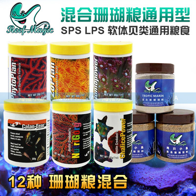 美国两只小鱼德混合搭配