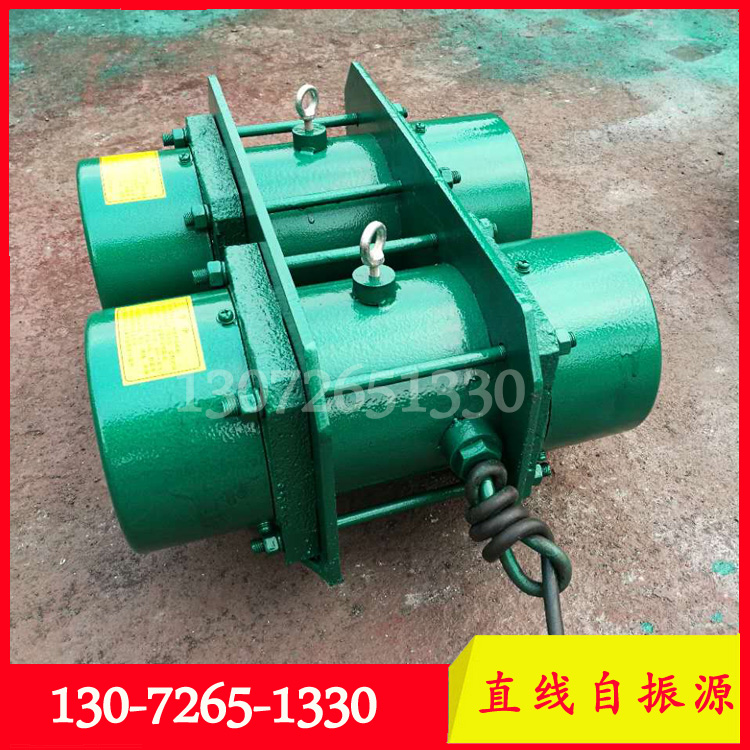 WLZD-2*5-4直线自振源2*0.4KW 自同步三相连体电机双胞胎振动电机