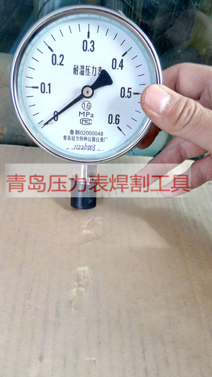 YTH100耐温压力表（隔离体耐高温压力表）0.6,1,1.6,2.5等青岛冠