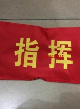 指挥工作人员印字小学生