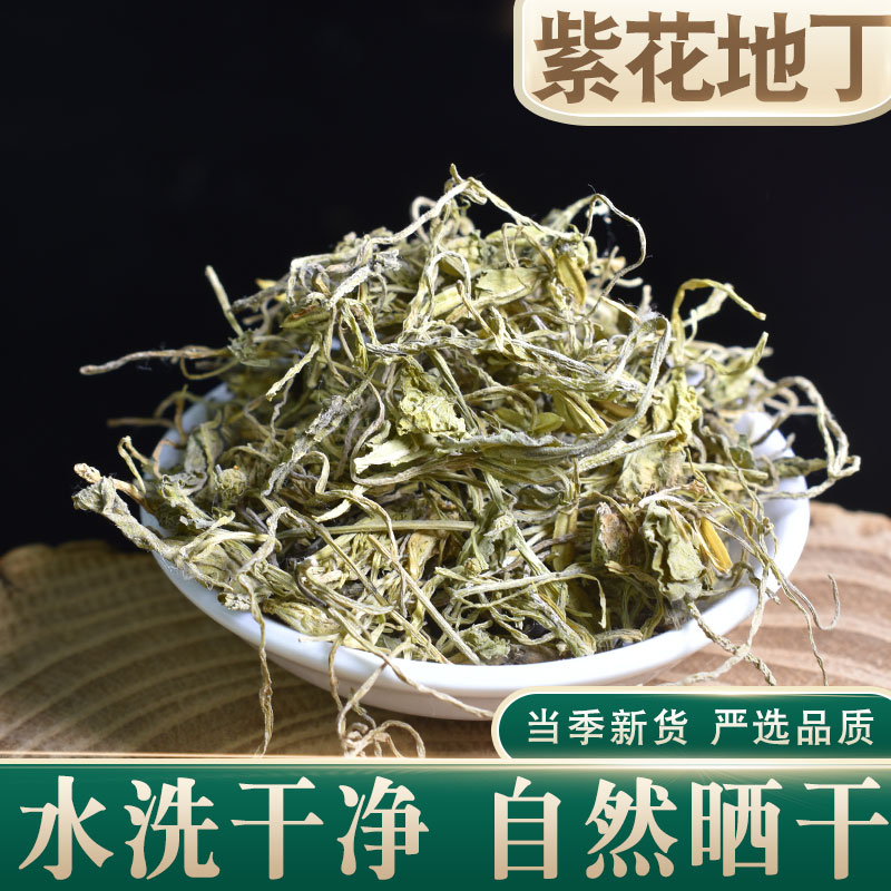 紫花地丁中药材500克g地丁紫地丁地丁草柴花苦地丁草药新货