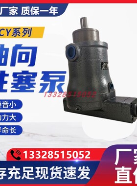 新款江苏恒源轴向柱塞油泵10MCY14-1B 25YCY 5 40 63 80 32PC包邮