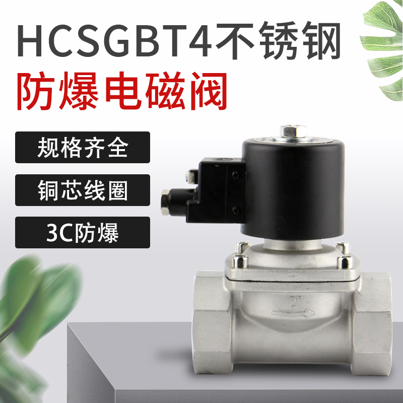 304不锈钢DN15防爆20电磁子25控制阀32水气AC220DC24V6分1半2寸50