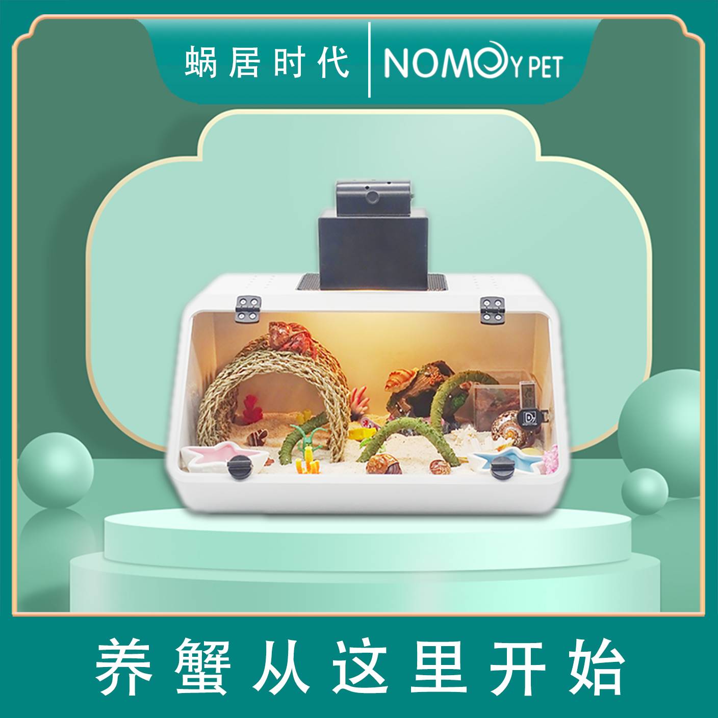 新手寄居蟹饲养套装爬宠
