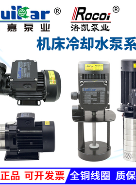 LuiKar睿嘉Rocoi洛凯LDPB1-2H-4V-15-18-20-22-40-TP数控机床水泵