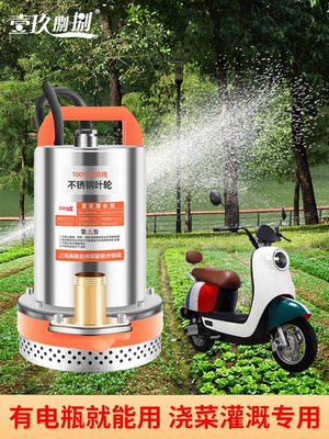 直流潜水泵12V24V48V60V电瓶车电动车水泵小型灌溉农用抽水机浇菜