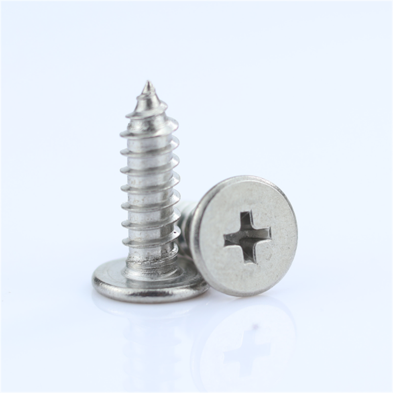 不锈钢扁平头自攻螺丝钉