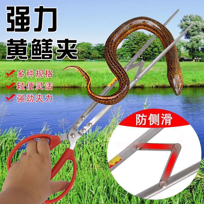 黄鳝夹鱼钳抓泥鳅螃蟹子