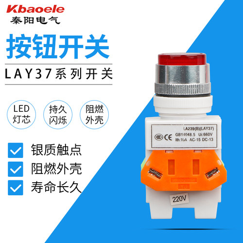 按钮开关带灯自锁 电源开关 LAY7 LAY37-11DNZS Y090-11DNZS 22MM
