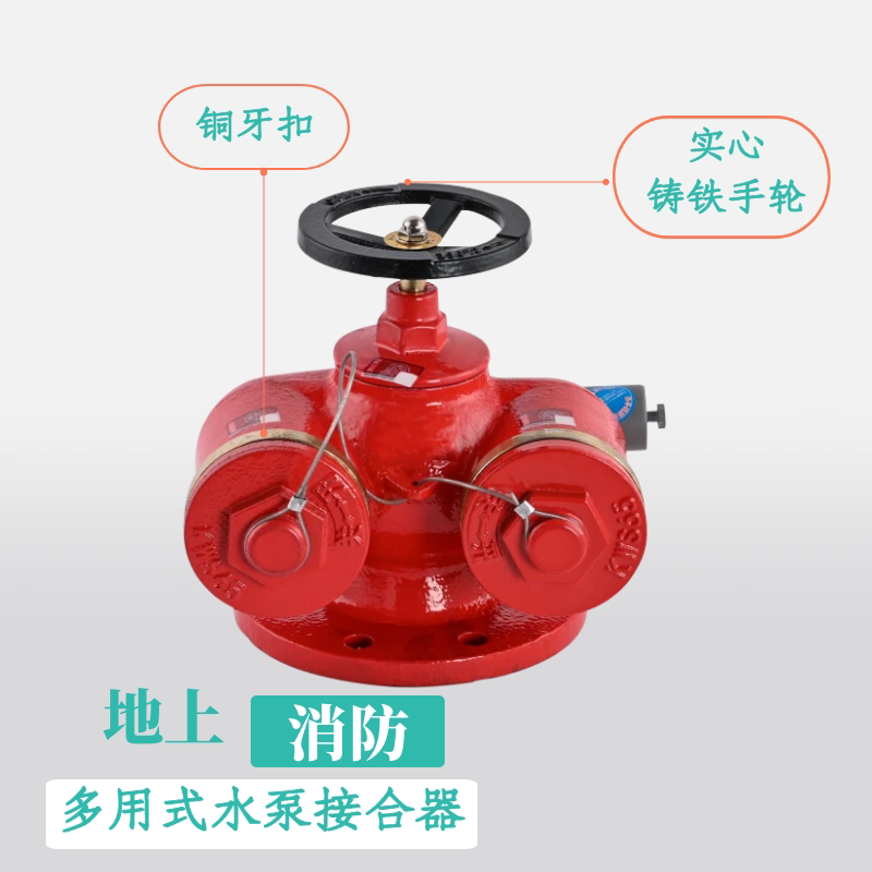 多用式地上水泵接合器sqd100-1.6新式消防室外150新型止回 安全阀