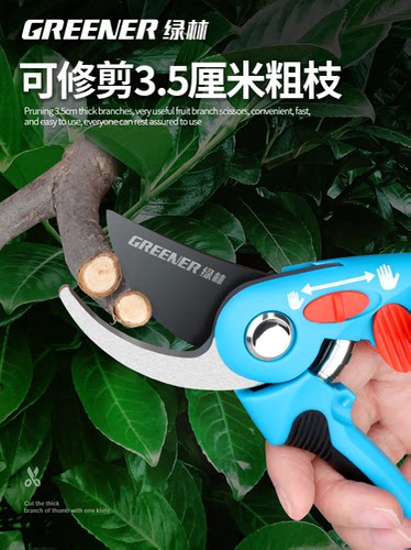 绿林园艺剪刀花修树枝鲜