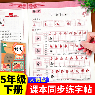 同步人教版 5下 五年级下册语文同步字帖练字帖人教版 课本教材每日一练小学下学期部编版 五下写字帖写字课课练小学生专用练字本