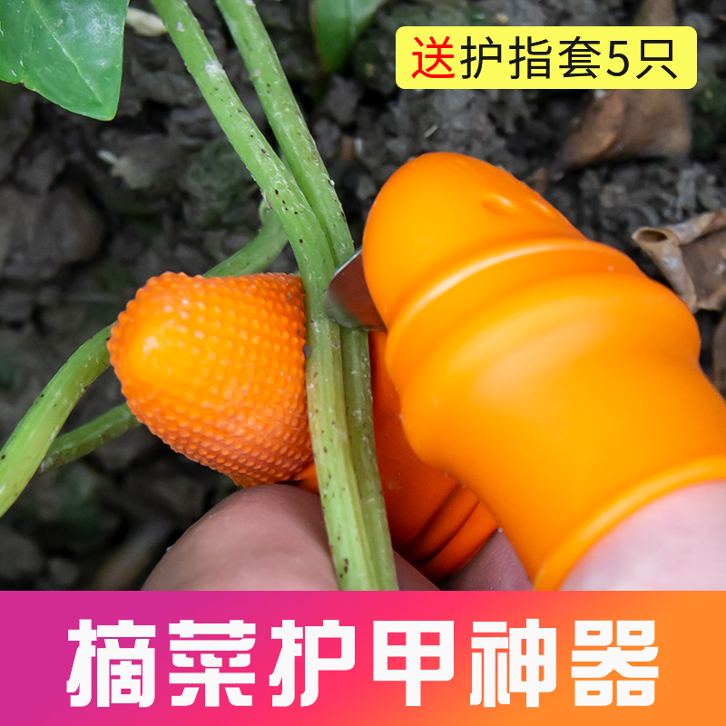 摘花椒神器采铁指甲套菜