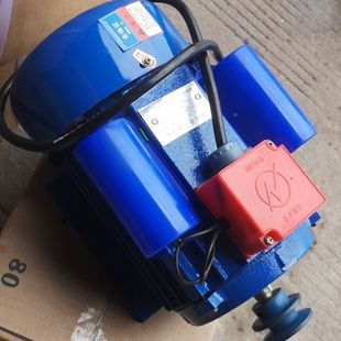 德国进口单相电机220v玉米脱粒机切草机草筛电机磨浆机2800转粉碎