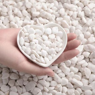 四川白石子铺路庭院景观有机磨圆天然白色石头鱼缸多肉盆栽铺面石