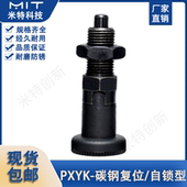 自锁碳钢螺纹定位柱M10 16分度弹簧柱塞 PXYK旋钮柱塞复位 PXK