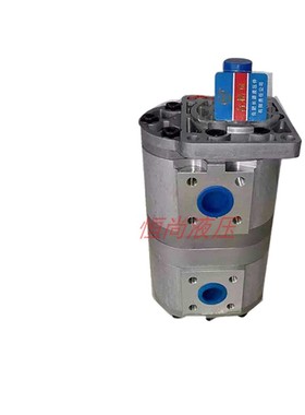 新款合肥CBNL-F563/550/40/32/25/20/16/10-BFH/PL 齿轮油泵包邮