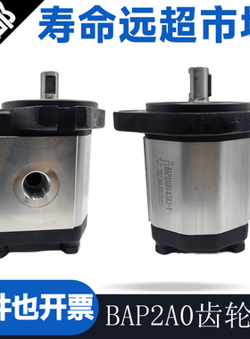 博顿液压泵Boden齿轮泵BAP2A0D14C0L1-V T0L1 BHP2B0D14T0E1 C2L