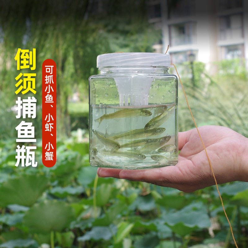 捕鱼神器倒须抓鱼瓶捕麦穗鳑鲏鱼笼小鱼工具加厚玻璃瓶捕鱼捕虾笼图片