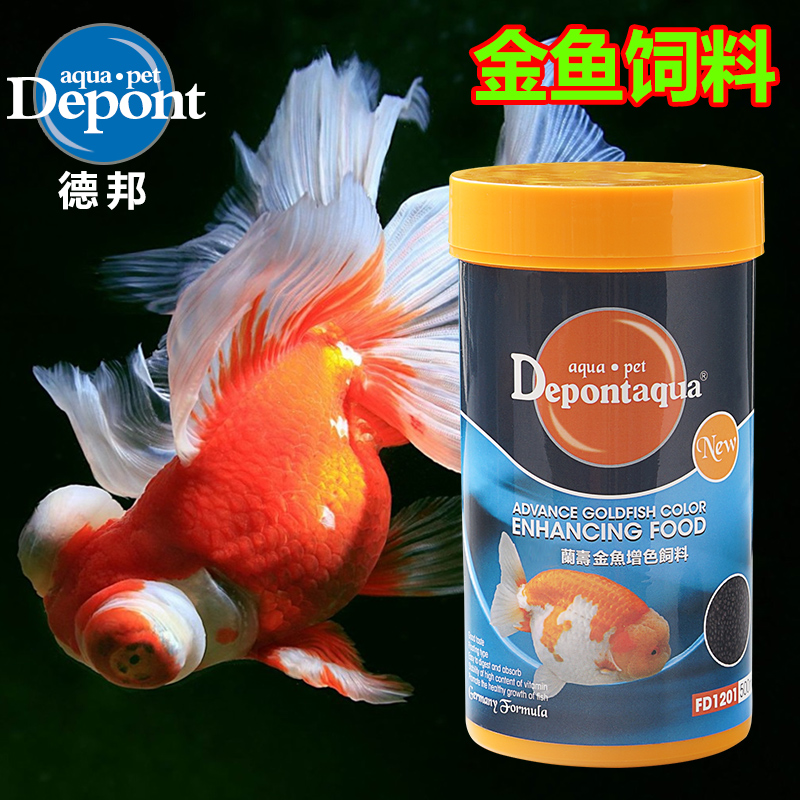 德邦兰寿金鱼增色饲料鱼饲料活体鱼粮虾饲料兰寿金鱼专用