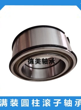 满装圆柱滚子轴承SL045016 045017  045018  045019  SL045020 PP