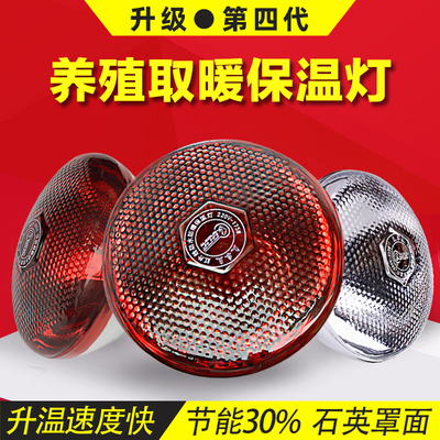 猪用保温灯仔猪红外线保暖养殖场专用加热鸡舍育雏保温箱取暖灯泡